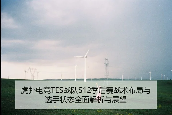虎扑电竞TES战队S12季后赛战术布局与选手状态全面解析与展望